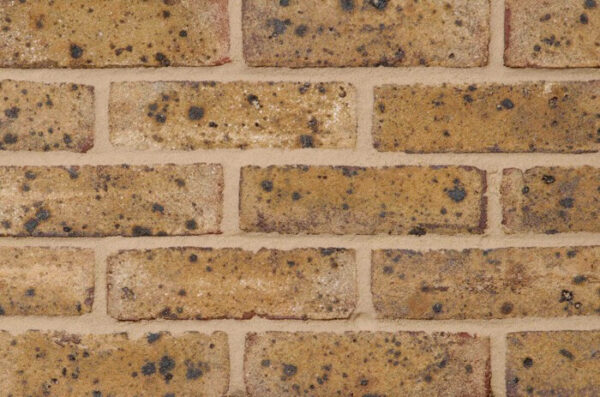 Danehill Yellow Brick (A)